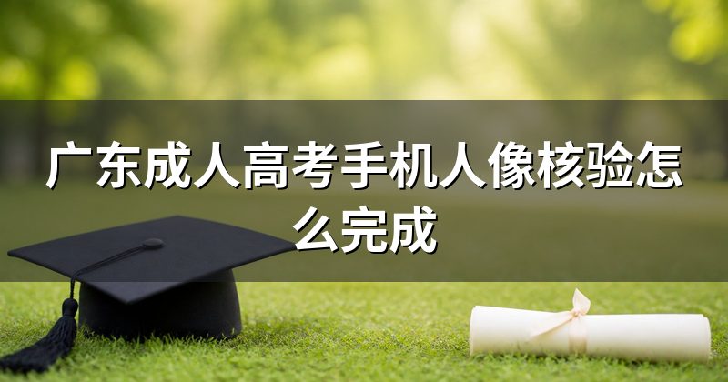 广东成人高考手机人像核验怎么完成
