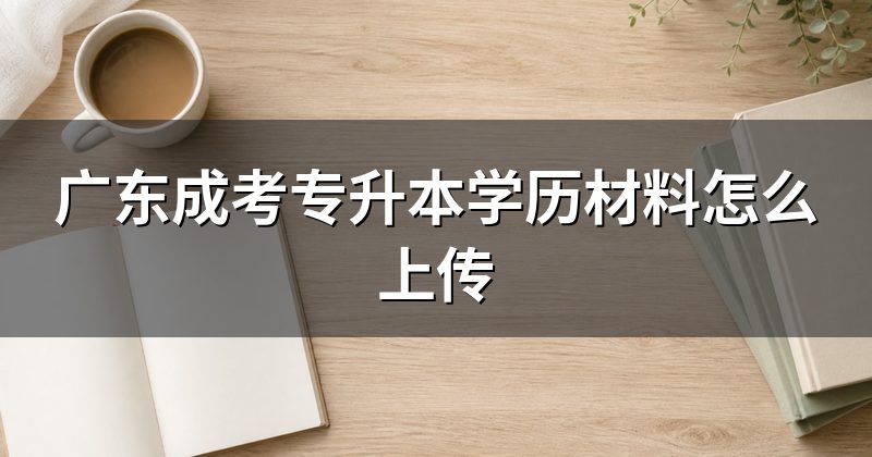 广东成考专升本学历材料怎么上传