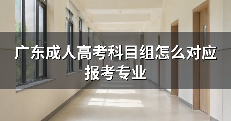 广东成人高考科目组怎么对应报考专业