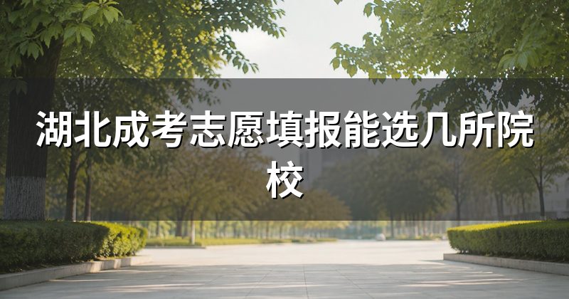 湖北成考志愿填报能选几所院校