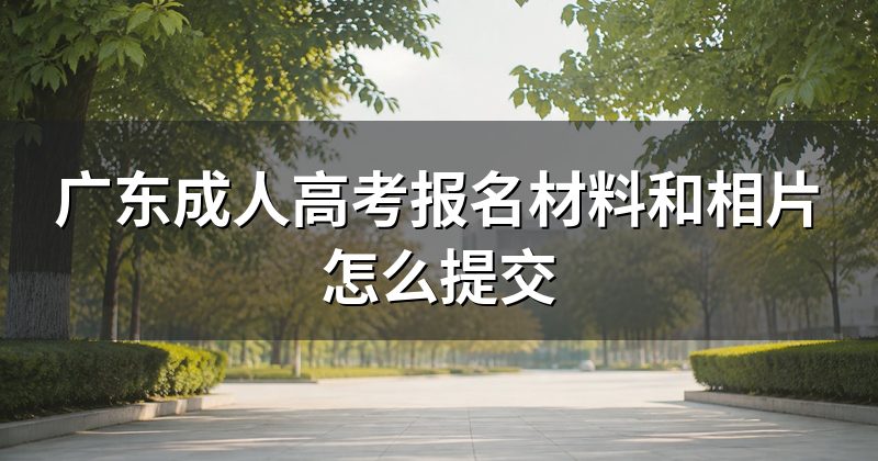 广东成人高考报名材料和相片怎么提交
