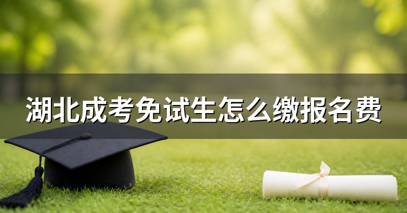 湖北成考免试生怎么缴报名费