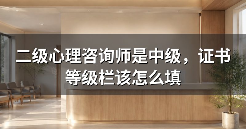 二级心理咨询师是中级,证书等级栏该怎么填