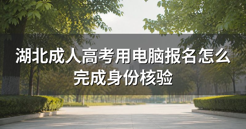 湖北成人高考用电脑报名怎么完成身份核验