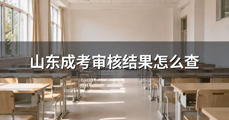 山东成考审核结果怎么查