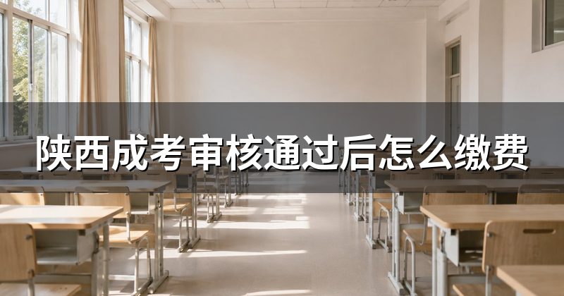 陕西成考审核通过后怎么缴费