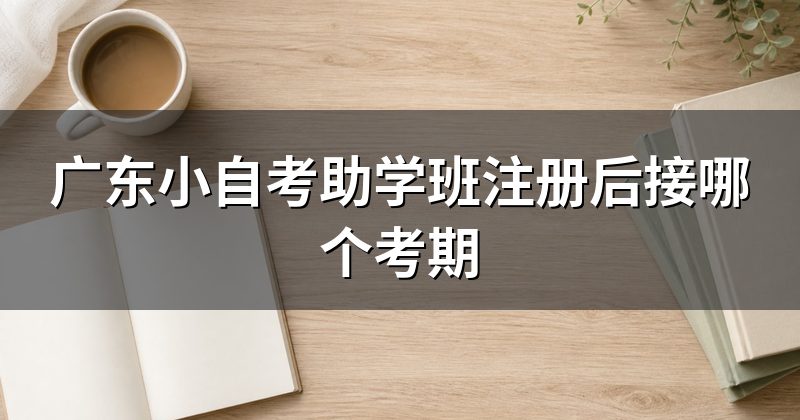 广东小自考助学班注册后接哪个考期