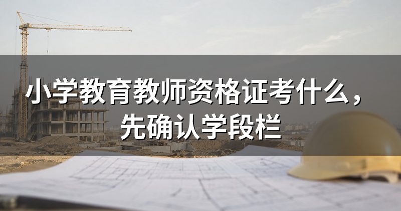 小学教育教师资格证考什么,先确认学段栏
