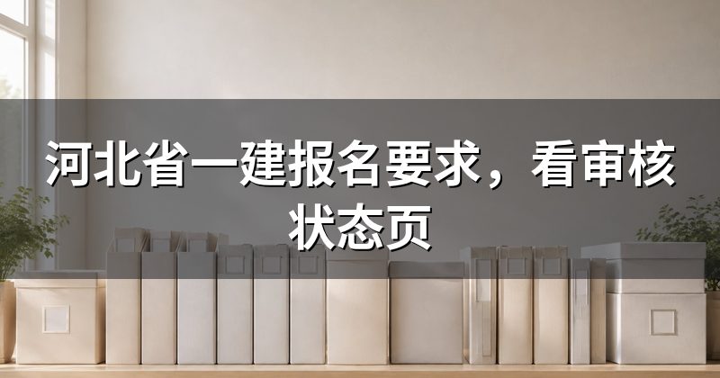 河北省一建报名要求,看审核状态页