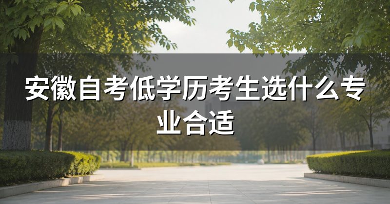 安徽自考低学历考生选什么专业合适