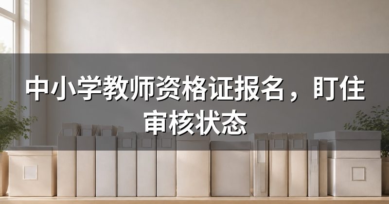 中小学教师资格证报名，盯住审核状态