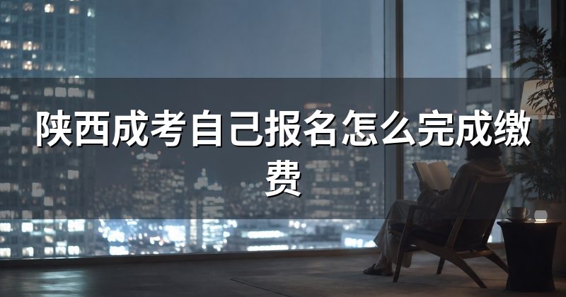 陕西成考自己报名怎么完成缴费