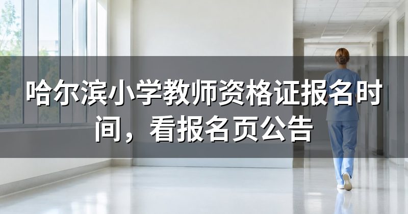 哈尔滨小学教师资格证报名时间,看报名页公告