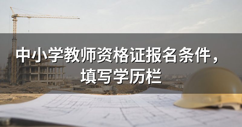 中小学教师资格证报名条件,填写学历栏