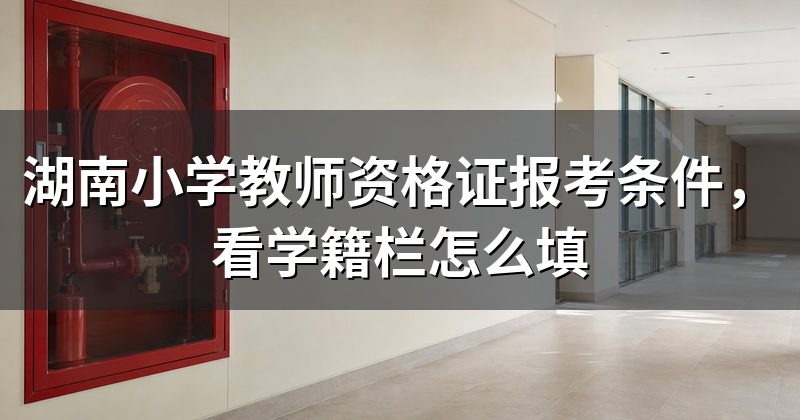 湖南小学教师资格证报考条件,看学籍栏怎么填
