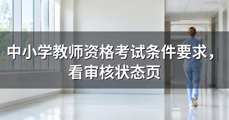中小学教师资格考试条件要求，看审核状态页