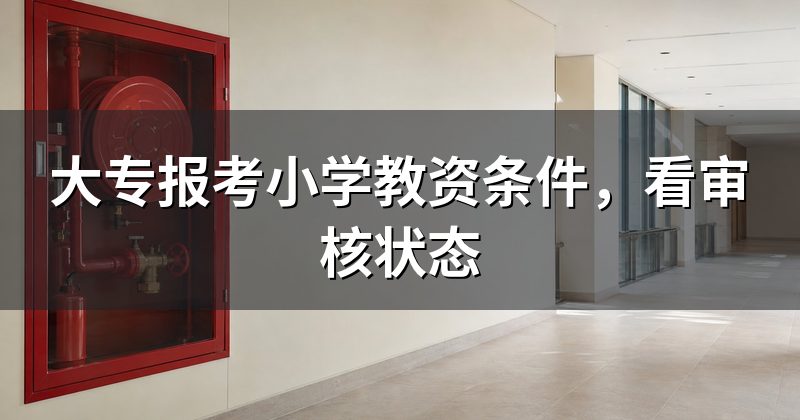 大专报考小学教资条件,看审核状态