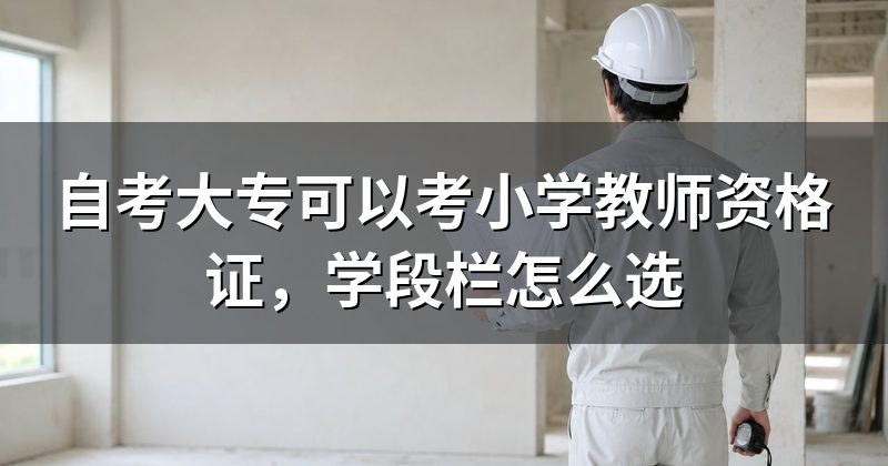 自考大专可以考小学教师资格证,学段栏怎么选