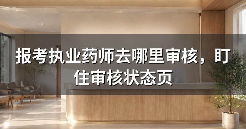 报考执业药师去哪里审核，盯住审核状态页