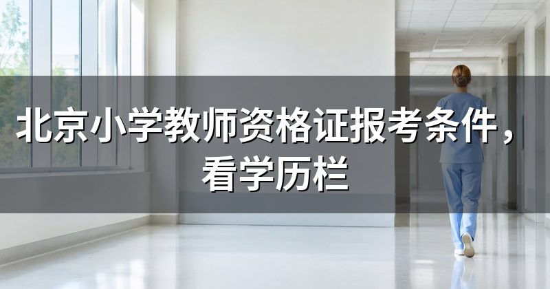 北京小学教师资格证报考条件，看学历栏