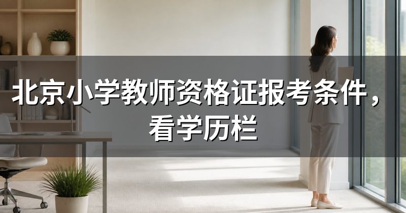 北京小学教师资格证报考条件,看学历栏