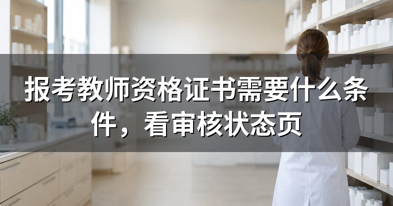 报考教师资格证书需要什么条件,看审核状态页