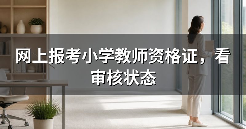 网上报考小学教师资格证,看审核状态