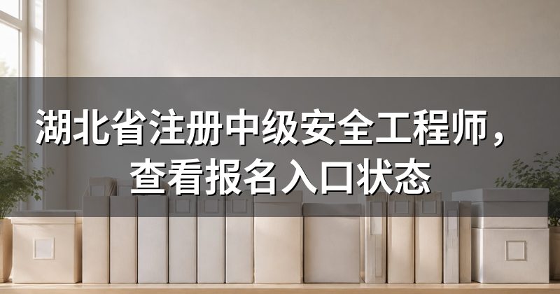 湖北省注册中级安全工程师,查看报名入口状态