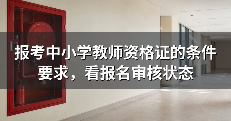 报考中小学教师资格证的条件要求，看报名审核状态