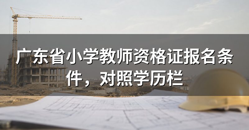 广东省小学教师资格证报名条件，对照学历栏