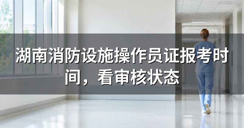 湖南消防设施操作员证报考时间，看审核状态