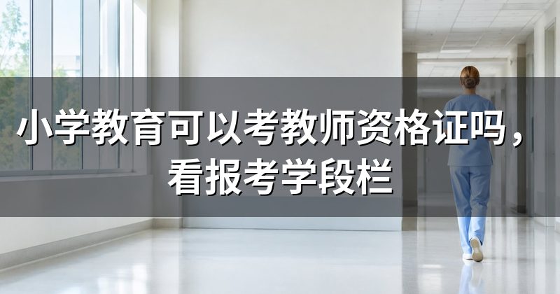 小学教育可以考教师资格证吗,看报考学段栏