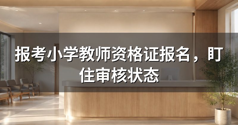 报考小学教师资格证报名,盯住审核状态
