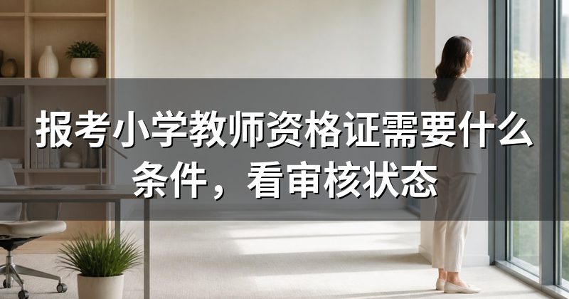 报考小学教师资格证需要什么条件,看审核状态