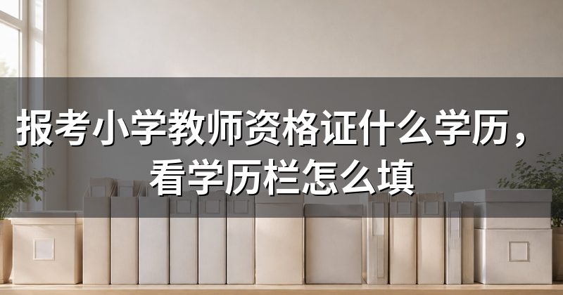 报考小学教师资格证什么学历,看学历栏怎么填