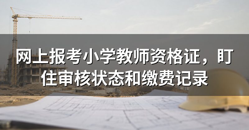 网上报考小学教师资格证，盯住审核状态和缴费记录