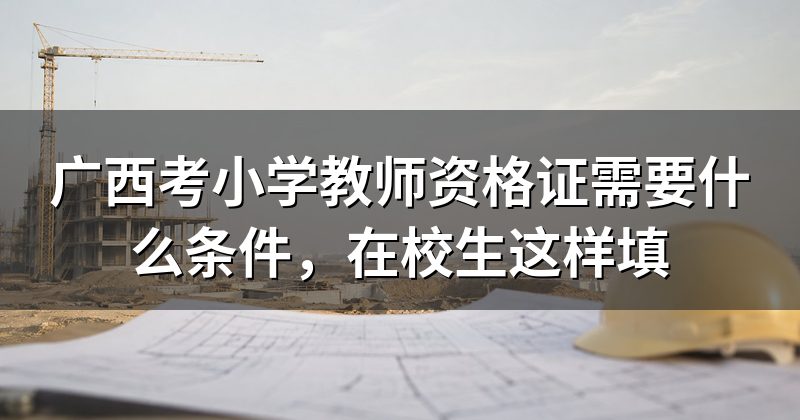广西考小学教师资格证需要什么条件,在校生这样填