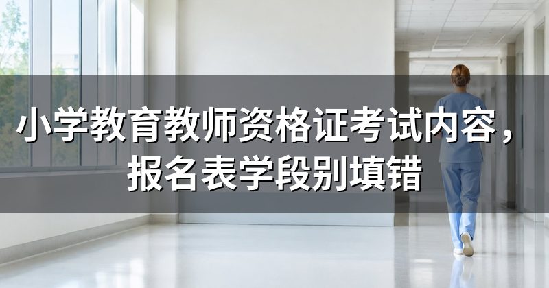 小学教育教师资格证考试内容，报名表学段别填错