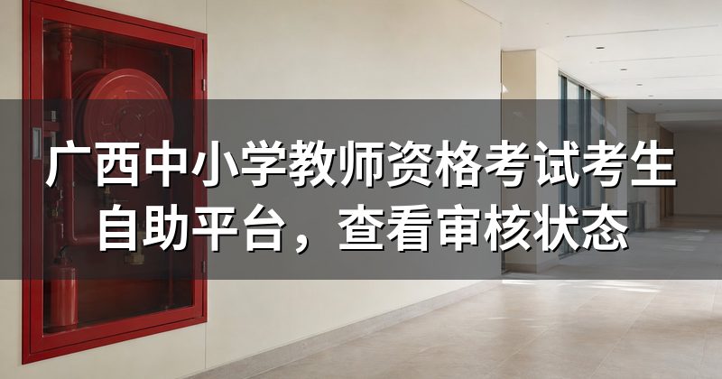 广西中小学教师资格考试考生自助平台,查看审核状态