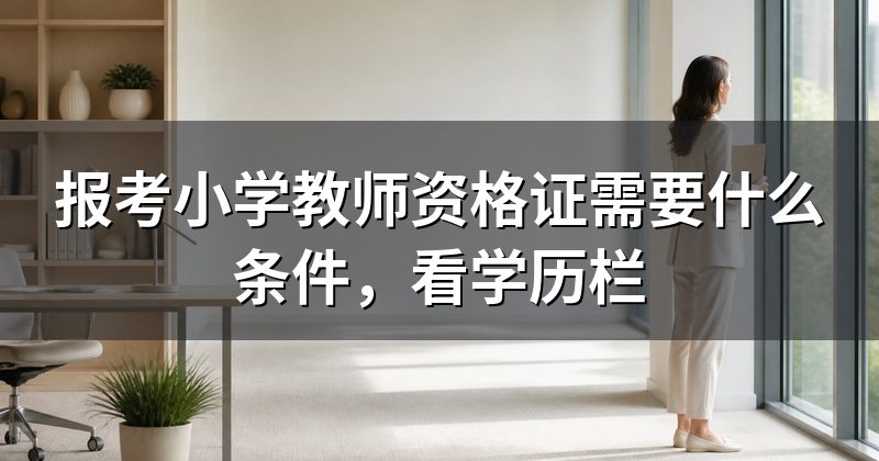 报考小学教师资格证需要什么条件，看学历栏