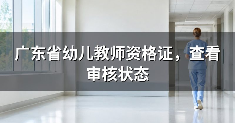 广东省幼儿教师资格证,查看审核状态