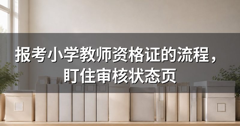 报考小学教师资格证的流程,盯住审核状态页