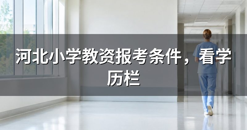 河北小学教资报考条件,看学历栏