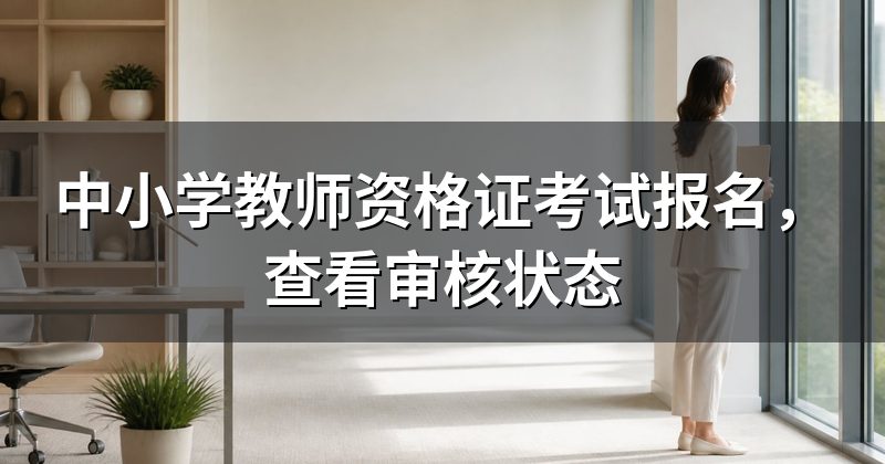 中小学教师资格证考试报名,查看审核状态