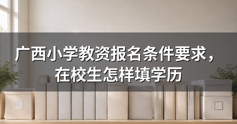 广西小学教资报名条件要求,在校生怎样填学历