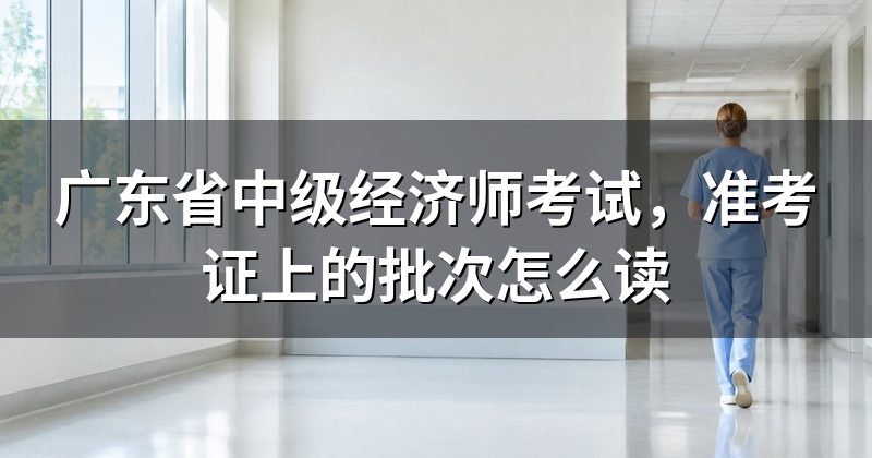 广东省中级经济师考试,准考证上的批次怎么读