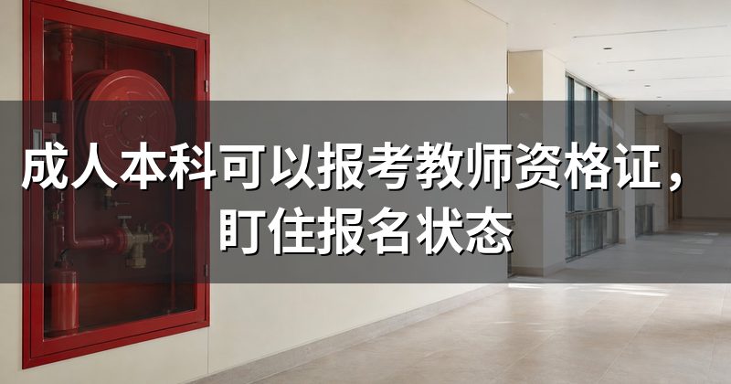 成人本科可以报考教师资格证,盯住报名状态