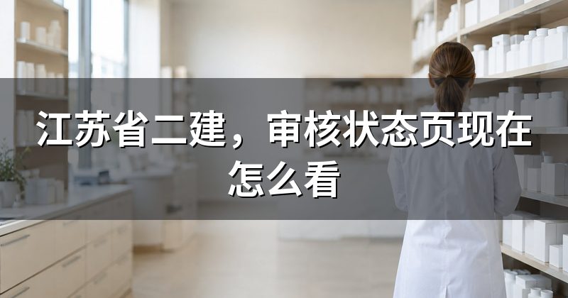 江苏省二建,审核状态页现在怎么看