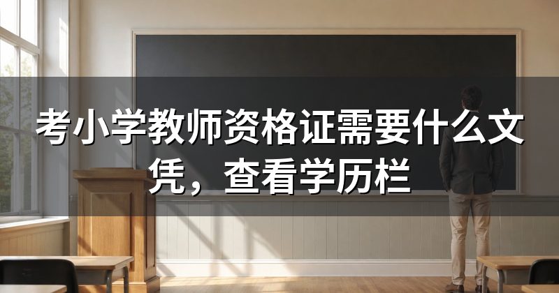 考小学教师资格证需要什么文凭，查看学历栏
