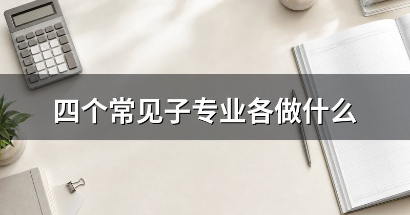 四个常见子专业各做什么
